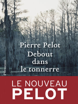 cover image of Debout dans le tonnerre